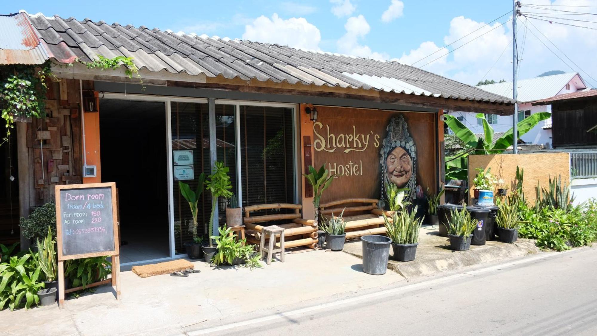 Sharky'S Hostel 拜县 外观 照片